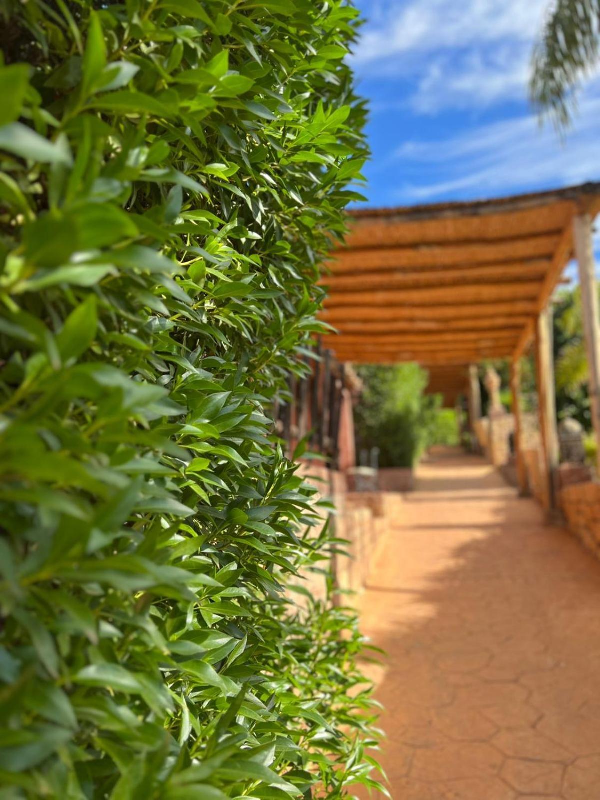 Palais D'Ouzoud Hotel Azilal Buitenkant foto