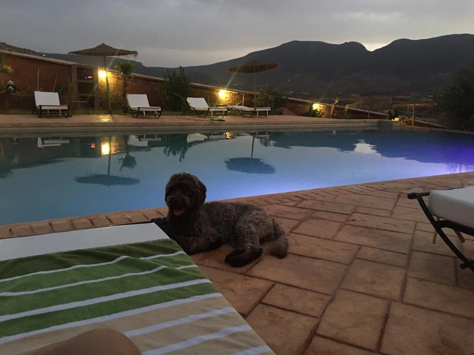 Palais D'Ouzoud Hotel Azilal Buitenkant foto